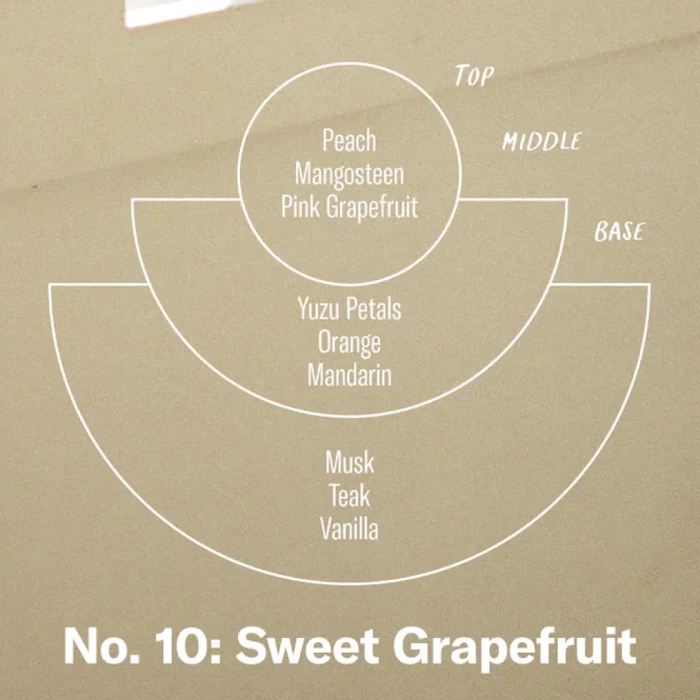 Fashion No. 10 Sweet Grapefruit - Reed Diffuser Home & Living
