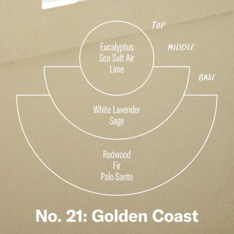 New No. 21 Golden Coast - Reed Diffuser Home & Living