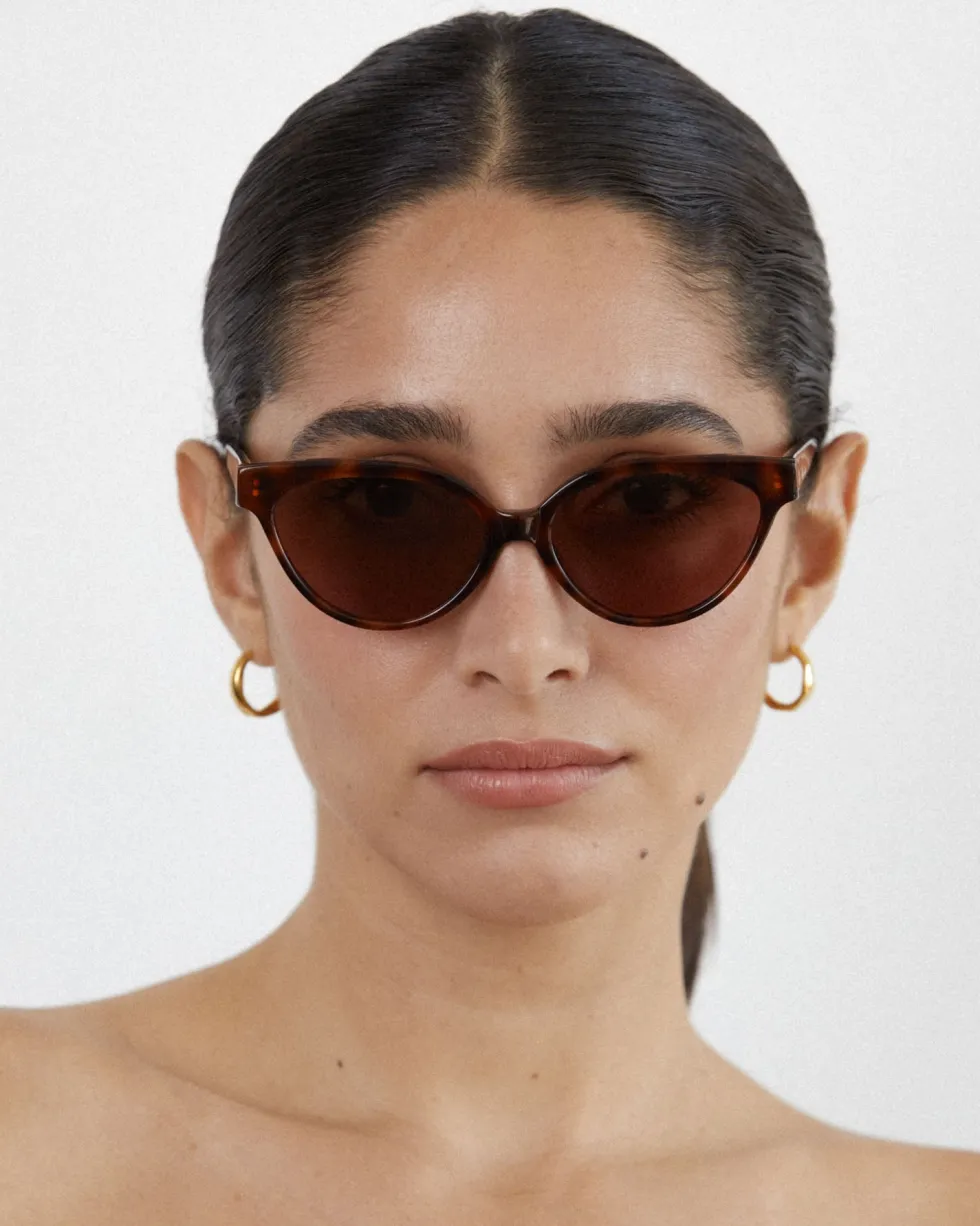 Outlet 'Beat Generation' - Havana Sunglasses