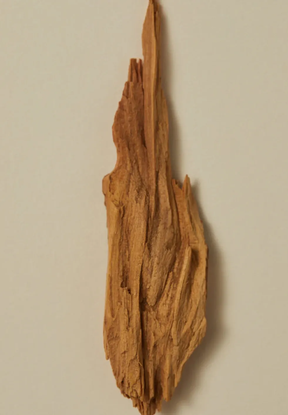 Outlet Incense - Sandalwood Beauty & Wellness