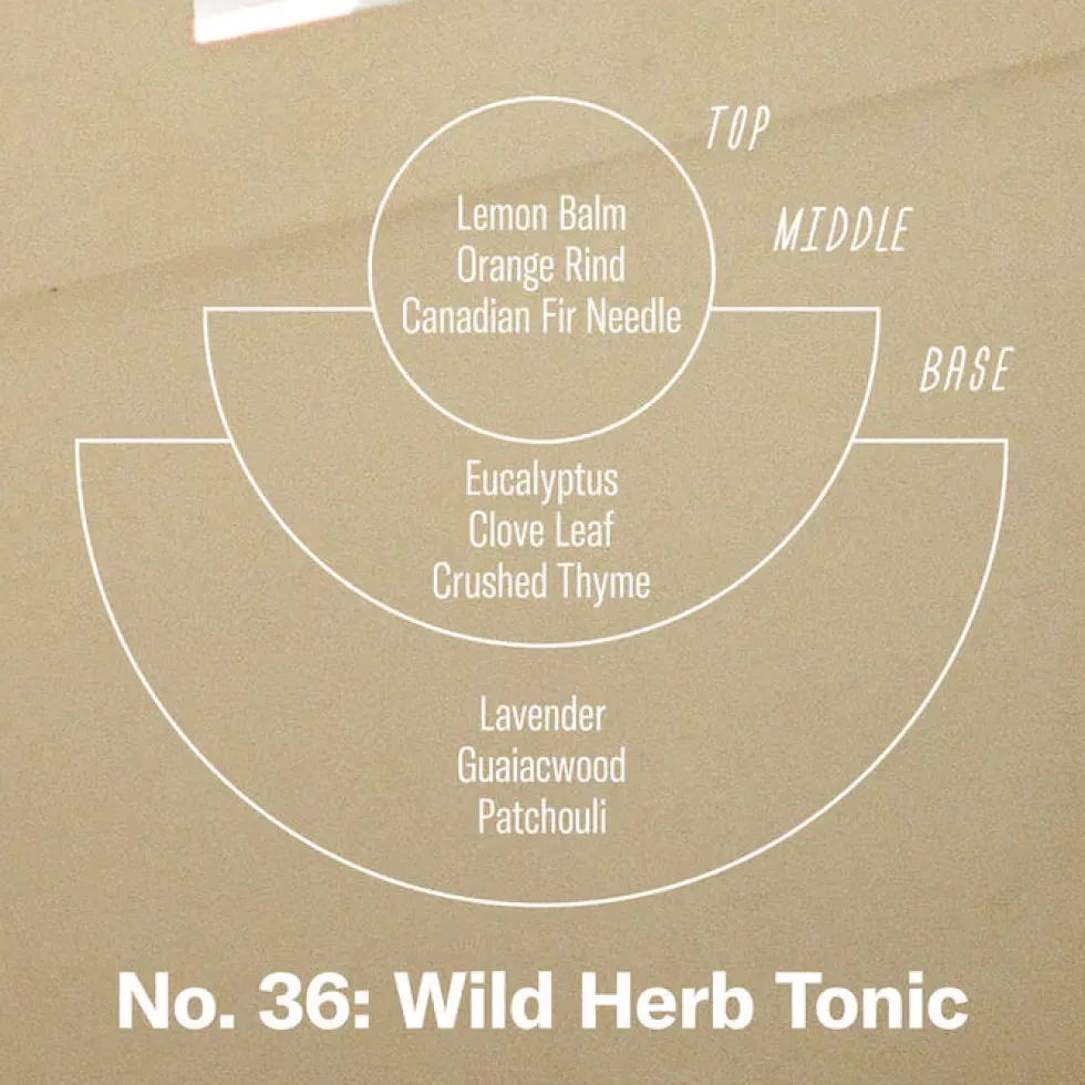 Sale No. 36 Wild Herb Tonic - Reed Diffusers Home & Living