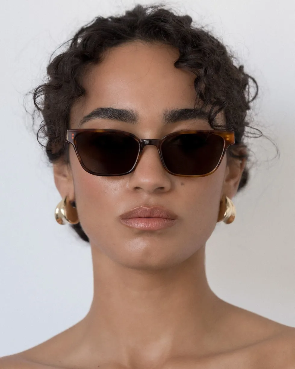 Outlet 'The Visionary' Sunglasses - Havana Fonce Sunglasses