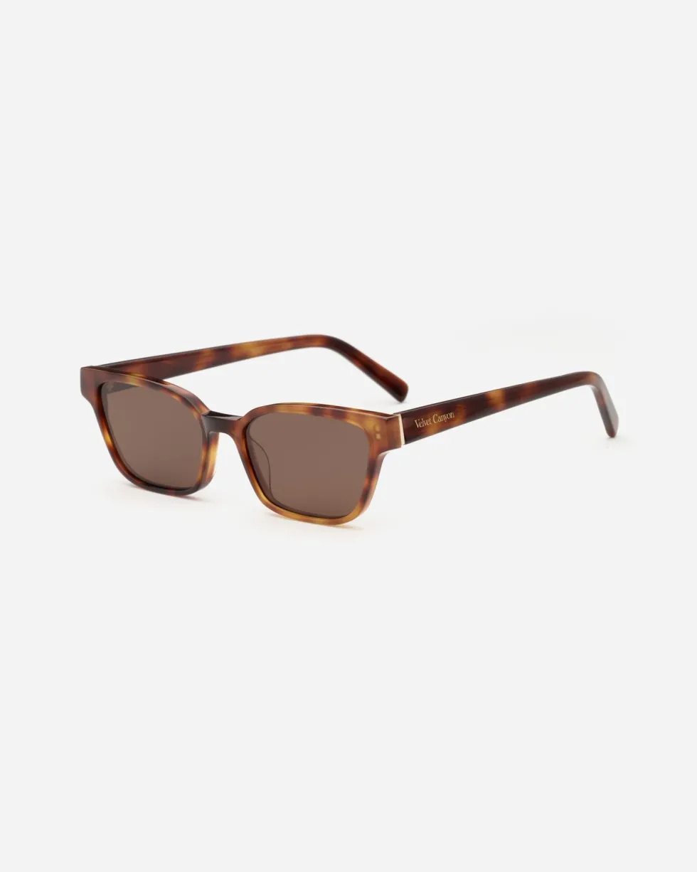 Outlet 'The Visionary' Sunglasses - Havana Fonce Sunglasses