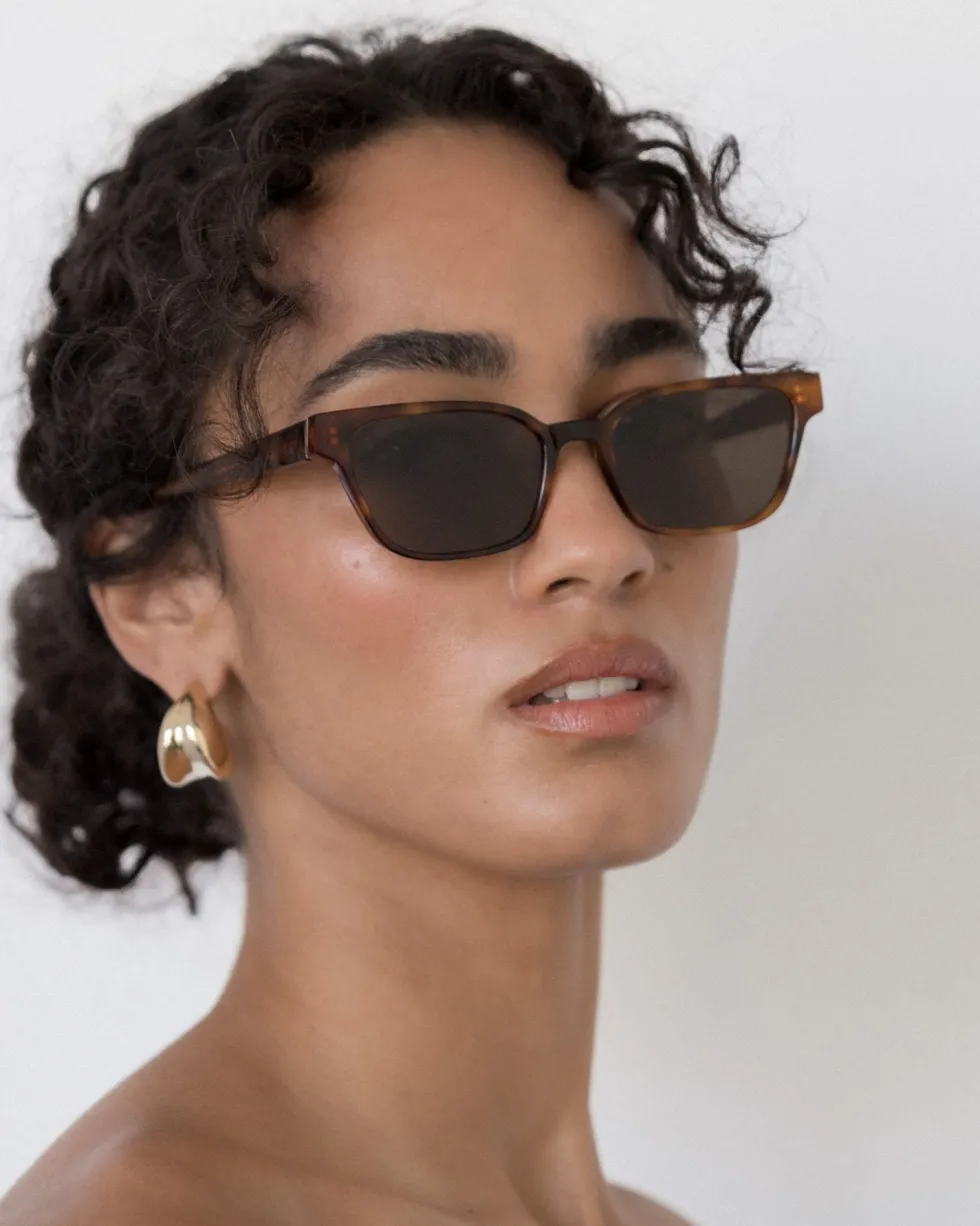 Outlet 'The Visionary' Sunglasses - Havana Fonce Sunglasses