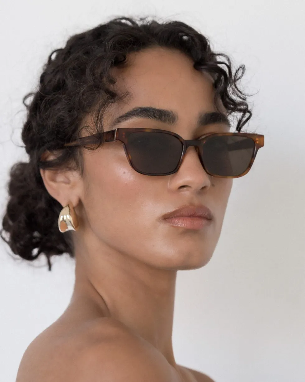 Outlet 'The Visionary' Sunglasses - Havana Fonce Sunglasses
